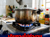 เดินทางไปทำงานต่างจังหวัด 27 วัน ลืมปิดเตาแก๊ส กลับถึงห้องถึงกับใจหาย เมื่อเปิดประตูเข้าไ