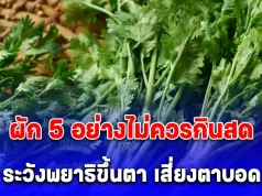 หมอเจด เตือน ผัก 5 อย่างไม่ควรกินสด ระวังพยาธิขึ้นตา เสี่ยงตาบอด
