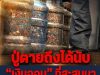 ปู่ตายถึงได้นับ “เงินออม” ที่สะสมมา 70 ปี ญาติช่วยกัน 5 วัน เผยยอดรวมอึ้งทั้งบ้าน!