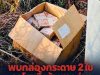 พบกล่องกระดาษ 2 ใบถูกโยนทิ้งข้างทางด่วน เปิดดูเจอเงินสดเกือบ 24 ล้านบาท ตำรวจไล่ล่าระทึก!