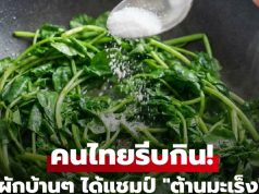 ทั่วโลกฮือฮา หลังพบผักชนิดหนึ่งมีฤทธิ์ต้านม.ะ.เ.ร็.งสูงกว่ายาเฉพาะทางหลายร้อยเท่า